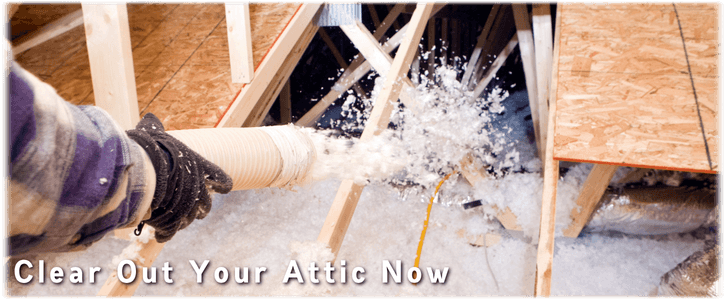 Attic Cleaning Philadelphia